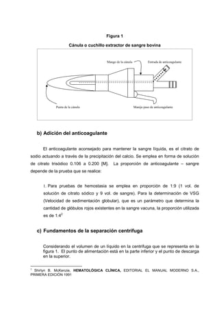 Figura 1

                      Cánula o cuchillo extractor de sangre bovina


                                        Mango de la cánula             Entrada de anticoagulante




             Punta de la cánula                              Manija paso de anticoagulante




    b) Adición del anticoagulante


      El anticoagulante aconsejado para mantener la sangre líquida, es el citrato de
sodio actuando a través de la precipitación del calcio. Se emplea en forma de solución
de citrato trisódico 0.106 a 0.200 [M].     La proporción de anticoagulante – sangre
depende de la prueba que se realice:


      1. Para pruebas de hemostasia se emplea en proporción de 1:9 (1 vol. de
      solución de citrato sódico y 9 vol. de sangre). Para la determinación de VSG
      (Velocidad de sedimentación globular), que es un parámetro que determina la
      cantidad de glóbulos rojos existentes en la sangre vacuna, la proporción utilizada
      es de 1:42


    c) Fundamentos de la separación centrifuga


      Considerando el volumen de un líquido en la centrifuga que se representa en la
      figura 1. El punto de alimentación está en la parte inferior y el punto de descarga
      en la superior.

2
  Shirlyn B. McKenzie, HEMATOLÓGICA CLÍNICA, EDITORIAL EL MANUAL MODERNO S.A.,
PRIMERA EDICIÓN 1991
 