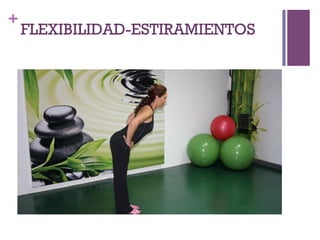 +
FLEXIBILIDAD-ESTIRAMIENTOS
 