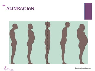 +
ALINEACIóN
Fuente: whynotpilates.net
 