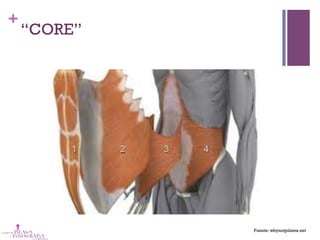 +
“CORE”
Fuente: whynotpilates.net
 