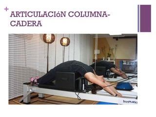 +
ARTICULACIóN COLUMNA-
CADERA
 