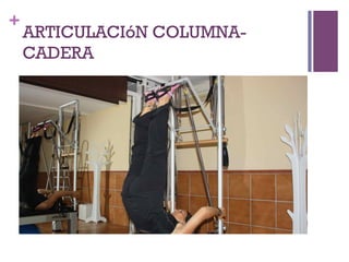 +
ARTICULACIóN COLUMNA-
CADERA
 