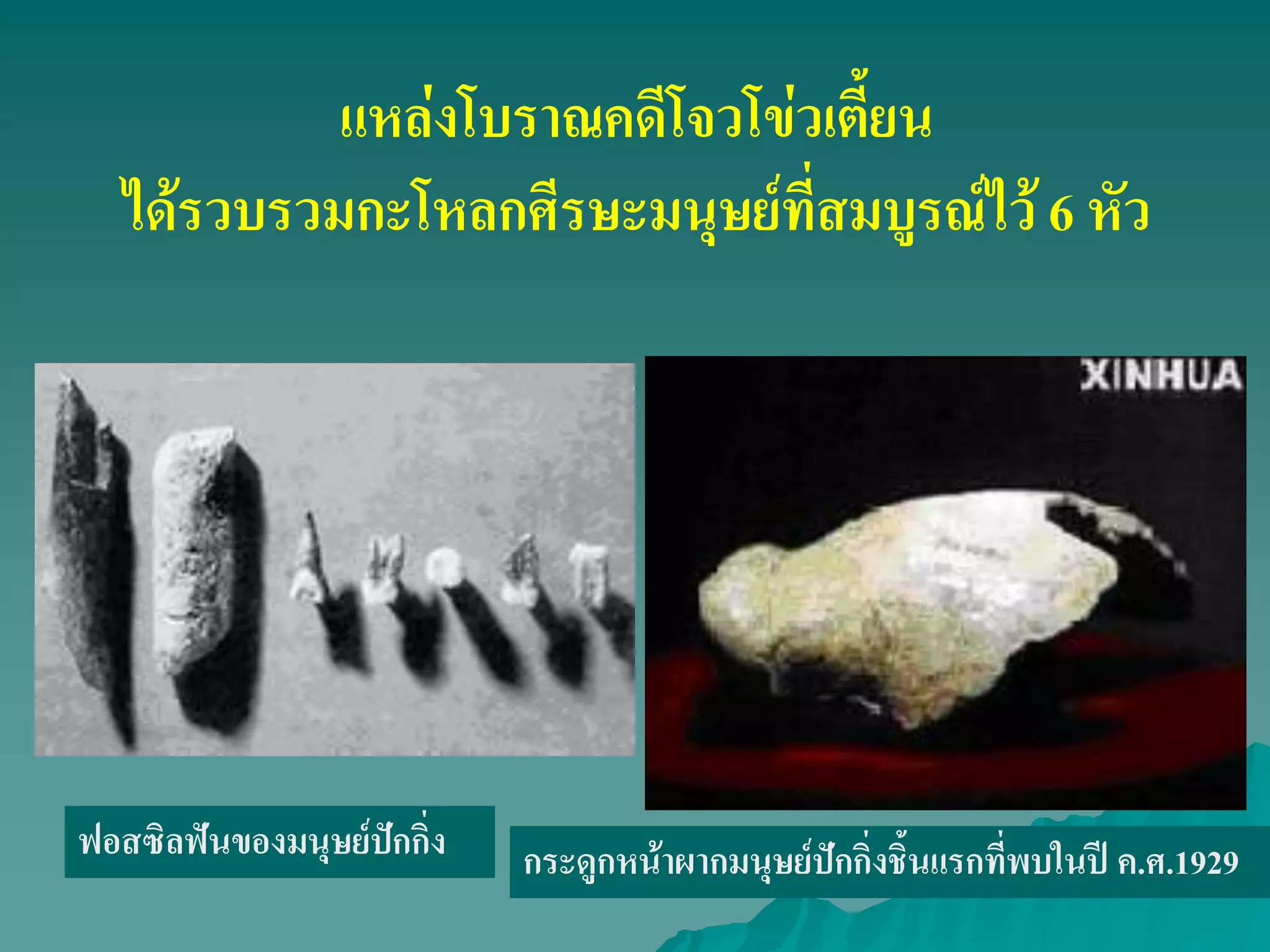 แหล่งโบราณคดีโจวโข่วเตี้ยน
ได้รวบรวมกะโหลกศีรษะมนุษย์ที่สมบูรณ์ไว้ 6 หัว
ฟอสซิลฟันของมนุษย์ปักกิ่ง กระดูกหน้าผากมนุษย์ปักกิ่งชิ้นแรกที่พบในปี ค.ศ.1929
 