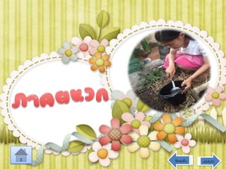 ย้อนกลับ

หน้าถัดไป

 