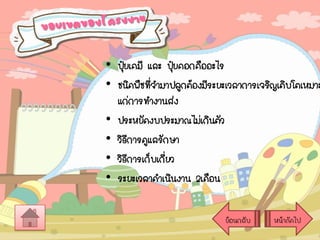 • ปุยเคมี และ ปุยคอกคืออะไร
๋
๋
• ชนิดพืชที่จามาปลูกต้องมีระยะเวลาการเจริญเติบโตเหมาะ
แก่การทางานส่ง
• ประหยัดงบประมาณไม่เกินตัว
• วิธีการดูแลรักษา
• วิธีการเก็บเกียว
่
• ระยะเวลาดาเนินงาน 2เดือน
ย้อนกลับ

หน้าถัดไป

 