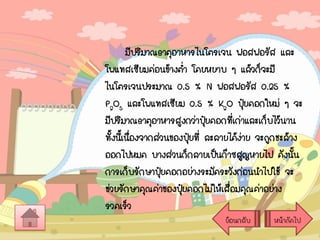 มีปริมาณธาตุอาหารไนโตรเจน ฟอสฟอรัส และ
โพแทสเซียมค่อนข้างต่า โดยหยาบ ๆ แล้วก็จะมี
ไนโตรเจนประมาณ 0.5 % N ฟอสฟอรัส 0.25 %
P2O5 และโพแทสเซียม 0.5 % K2O ปุยคอกใหม่ ๆ จะ
๋
มีปริมาณธาตุอาหารสูงกว่าปุยคอกที่เก่าและเก็บไว้นาน
๋
ทั้งนีเ้ นืองจากส่วนของปุยที่ ละลายได้งาย จะถูกชะล้าง
่
๋
่
ออกไปหมด บางส่วนก็กลายเป็นก๊าซสูญหายไป ดังนัน
้
การเก็บรักษาปุ๋ยคอกอย่างระมัดระวังก่อนนาไปใช้ จะ
ช่วยรักษาคุณค่าของปุยคอกไม่ให้เสือมคุณค่าอย่าง
๋
่
รวดเร็ว
ย้อนกลับ

หน้าถัดไป

 