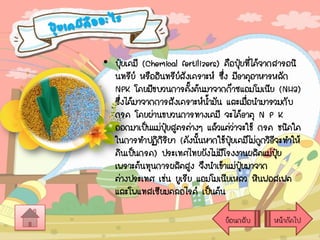 • ปุยเคมี (Chemical fertilizers) คือปุ๋ยที่ได้จากสารอนิ
๋
นทรีย์ หรืออินทรียสังเคราะห์ ซึ่ง มีธาตุอาหารหลัก
์
NPK โดยมีขบวนการตั้งต้นมาจากก๊าซแอมโมเนีย (NH3)
ซึ่งได้มาจากการสังเคราะห์นามัน และเมือนามารวมกับ
้
่
กรด โดยผ่านขบวนการทางเคมี จะได้ธาตุ N P K
ออกมาเป็นแม่ปยสูตรต่างๆ แล้วแต่ว่าจะใช้ กรด ชนิดใด
ุ๋
ในการทาปฏิกิริยา (ดังนั้นหากใช้ปุ๋ยเคมีไม่ถกวิธจะทาให้
ู ี
ดินเป็นกรด) ประเทศไทยยังไม่มโรงงานผลิตแม่ปย
ี
ุ๋
เพราะต้นทุนการผลิตสูง จึงนาเข้าแม่ปยมาจาก
ุ๋
ต่างประเทศ เช่น ยูเรีย แอมโมเนียเหลว หินฟอสเฟต
และโพแทสเซียมคลอไรด์ เป็นต้น
ย้อนกลับ

หน้าถัดไป

 