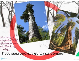 Αιτήματα δημόσιου χώρου