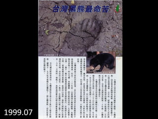 1999.07
馬來熊
 