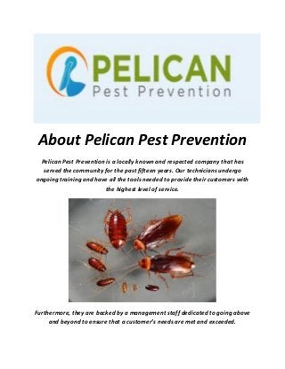 About Pelican Pest Prevention
Pelican Pest Prevention is a locally known and respected company that has
served the community for the past fifteen years. Our technicians undergo
ongoing training and have all the tools needed to provide their customers with
the highest level of service.
Furthermore, they are backed by a management staff dedicated to going above
and beyond to ensure that a customer’s needs are met and exceeded.
 