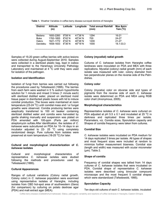 Coffee berry disease (Colletotrichum kahawae) status, pathogenic