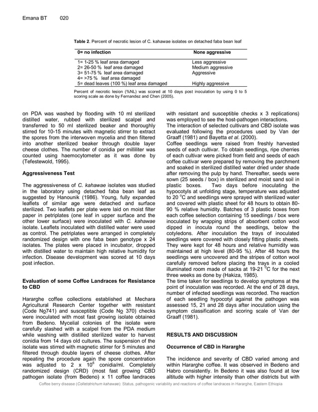 Coffee berry disease (Colletotrichum kahawae) status, pathogenic