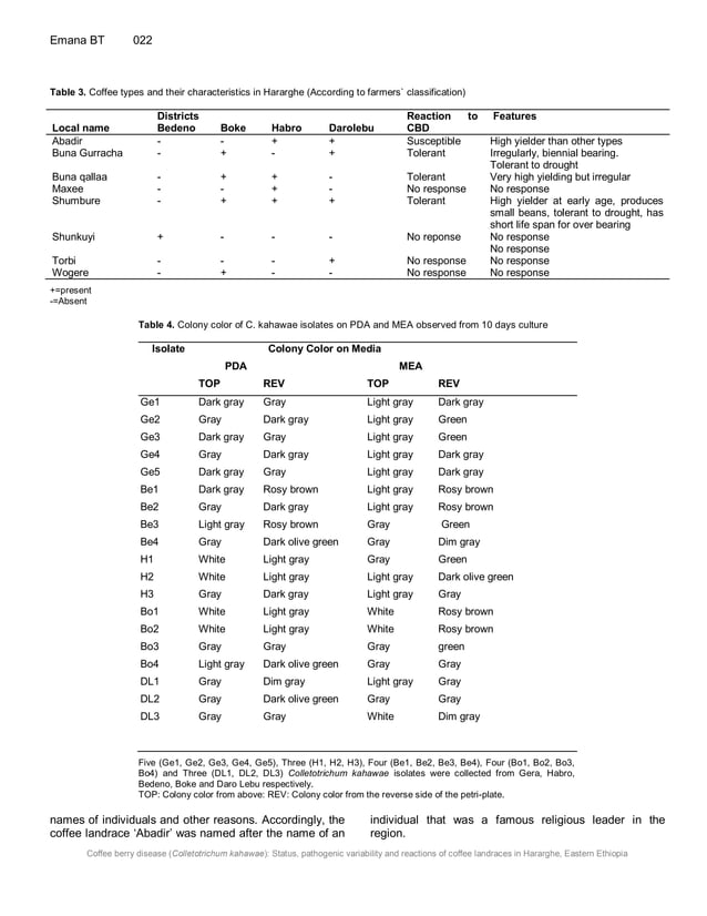 Coffee berry disease (Colletotrichum kahawae) status, pathogenic