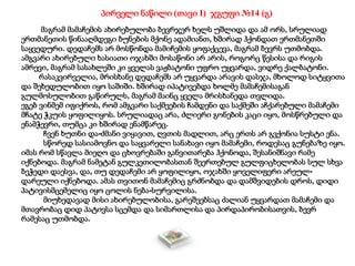 პირველი ნაწილი (თავი I) ჯგუფი №14 (გ)
მაგრამ მამაჩემის ახირებულობა ბევრჯერ ხელს უშლიდა და ამ ორს, სრულიად
ერთმანეთის წინააღმდეგი ბუნების მქონე ადამიანთ, ხშირად ჰქონდათ ერთმანეთში
საყვედური. დედაჩემს არ მოსწონდა მამიჩემის ყოფაქცევა, მაგრამ ბევრს უთმობდა.
ამგვარი ახირებული ხასიათი ოჯახში მოსაწონი არ არის, როგორც წესისა და რიგის
ამრევი, მაგრამ სასახლეში კი ყველას ვაჟბატონი უფრო უყვარდა, ვიდრე ქალბატონი.
რასაკვირველია, მრისხანე დედაჩემს არ უყვარდა არავის დასჯა, მხოლოდ სიტყვითა
და შეხედულობით იყო საშიში. ხშირად იპატივებდა ხოლმე მამაჩემისაგან
გულმოსულობით გაწირულს, მაგრამ მაინც ყველა მრისხანედა თვლიდა.
ეგებ ვინმემ იფიქროს, რომ ამგვარი საქმეების ჩამდენი და საქმეში აჩქარებული მამაჩემი
მჩატე ჭკუის ყოფილიყოს. სრულიადაც არა, ძლიერი გონების კაცი იყო, მოსწრებული და
ენამჭევრი, თუმცა კი ხშირად ენამწარეც.
ჩვენ ხუთნი და-ძმანი ვიყავით, ღვთის მადლით, არც ერთს არ გვქონია სუსტი ენა.
სწორედ სასიამოვნო და საყვარელი სანახავი იყო მამაჩემი, როდესაც გუნებაზე იყო.
იმას რომ სწავლა მიეღო და ცხოვრებაში განვითარება ჰქონოდა, შესანიშნავი რამე
იქნებოდა. მაგრამ ნამეტან გულკეთილობასთან შეერთებულ გულფიცხელობას სულ სხვა
ბეჭედი დაესვა, და, თუ დედაჩემი არ ყოფილიყო, ოჯახში ყოველიფერი არეულ-
დარეული იქნებოდა. ამას თვითონ მამაჩემიც გრძნობდა და დამშვიდების დროს, დიდი
პატივისმცემელიც იყო ცოლის ნება-სურვილისა.
მიუხედავად მისი ახირებულობისა, გარეშეებსაც ძალიან უყვარდათ მამაჩემი და
მთავრობაც დიდ პატივსა სცემდა და სიმართლისა და პირდაპირობისათვის, ბევრ
რამესაც უთმობდა.
 