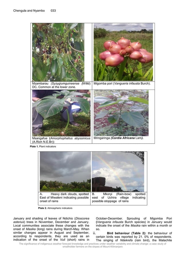 The significance of indigenous weather forecast knowledge and practices