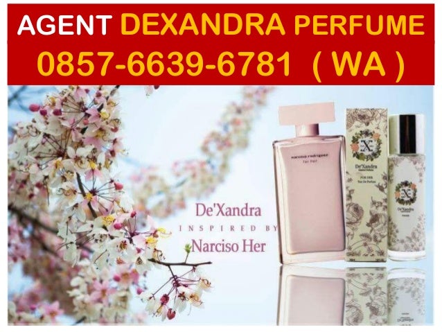 perfume dexandra for him paling wangi