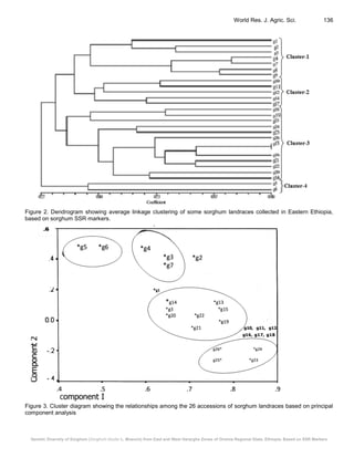 Genetic Diversity of Sorghum (Sorghum bicolor L. Moench) from East and ...