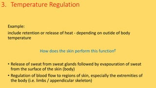 3. Temperature Regulation
Example:
include retention or release of heat - depending on outide of body
temperature
How does the skin perform this function?
• Release of sweat from sweat glands followed by evapouration of sweat
from the surface of the skin (body)
• Regulation of blood flow to regions of skin, especially the extremities of
the body (i.e. limbs / appendicular skeleton)
 
