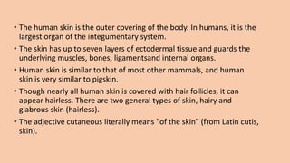 • The human skin is the outer covering of the body. In humans, it is the
largest organ of the integumentary system.
• The skin has up to seven layers of ectodermal tissue and guards the
underlying muscles, bones, ligamentsand internal organs.
• Human skin is similar to that of most other mammals, and human
skin is very similar to pigskin.
• Though nearly all human skin is covered with hair follicles, it can
appear hairless. There are two general types of skin, hairy and
glabrous skin (hairless).
• The adjective cutaneous literally means "of the skin" (from Latin cutis,
skin).
 