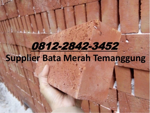 0812 2842 3452 Jual Bata Ekspos Olx Kendal