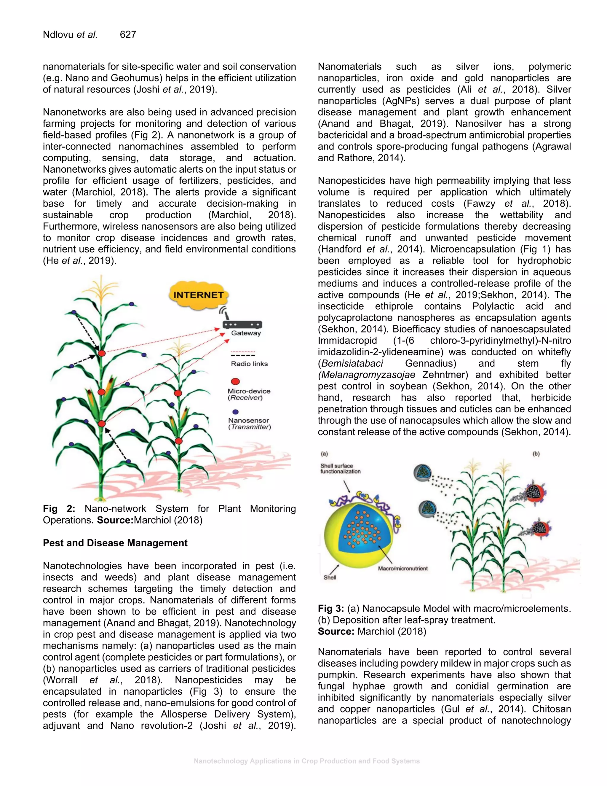 Nanotechnology Applications in Crop Production and Food Systems
Ndlovu et al. 627
nanomaterials for site-specific water and soil conservation
(e.g. Nano and Geohumus) helps in the efficient utilization
of natural resources (Joshi et al., 2019).
Nanonetworks are also being used in advanced precision
farming projects for monitoring and detection of various
field-based profiles (Fig 2). A nanonetwork is a group of
inter-connected nanomachines assembled to perform
computing, sensing, data storage, and actuation.
Nanonetworks gives automatic alerts on the input status or
profile for efficient usage of fertilizers, pesticides, and
water (Marchiol, 2018). The alerts provide a significant
base for timely and accurate decision-making in
sustainable crop production (Marchiol, 2018).
Furthermore, wireless nanosensors are also being utilized
to monitor crop disease incidences and growth rates,
nutrient use efficiency, and field environmental conditions
(He et al., 2019).
Fig 2: Nano-network System for Plant Monitoring
Operations. Source:Marchiol (2018)
Pest and Disease Management
Nanotechnologies have been incorporated in pest (i.e.
insects and weeds) and plant disease management
research schemes targeting the timely detection and
control in major crops. Nanomaterials of different forms
have been shown to be efficient in pest and disease
management (Anand and Bhagat, 2019). Nanotechnology
in crop pest and disease management is applied via two
mechanisms namely: (a) nanoparticles used as the main
control agent (complete pesticides or part formulations), or
(b) nanoparticles used as carriers of traditional pesticides
(Worrall et al., 2018). Nanopesticides may be
encapsulated in nanoparticles (Fig 3) to ensure the
controlled release and, nano-emulsions for good control of
pests (for example the Allosperse Delivery System),
adjuvant and Nano revolution-2 (Joshi et al., 2019).
Nanomaterials such as silver ions, polymeric
nanoparticles, iron oxide and gold nanoparticles are
currently used as pesticides (Ali et al., 2018). Silver
nanoparticles (AgNPs) serves a dual purpose of plant
disease management and plant growth enhancement
(Anand and Bhagat, 2019). Nanosilver has a strong
bactericidal and a broad-spectrum antimicrobial properties
and controls spore-producing fungal pathogens (Agrawal
and Rathore, 2014).
Nanopesticides have high permeability implying that less
volume is required per application which ultimately
translates to reduced costs (Fawzy et al., 2018).
Nanopesticides also increase the wettability and
dispersion of pesticide formulations thereby decreasing
chemical runoff and unwanted pesticide movement
(Handford et al., 2014). Microencapsulation (Fig 1) has
been employed as a reliable tool for hydrophobic
pesticides since it increases their dispersion in aqueous
mediums and induces a controlled-release profile of the
active compounds (He et al., 2019;Sekhon, 2014). The
insecticide ethiprole contains Polylactic acid and
polycaprolactone nanospheres as encapsulation agents
(Sekhon, 2014). Bioefficacy studies of nanoescapsulated
Immidacropid (1-(6 chloro-3-pyridinylmethyl)-N-nitro
imidazolidin-2-ylideneamine) was conducted on whitefly
(Bemisiatabaci Gennadius) and stem fly
(Melanagromyzasojae Zehntmer) and exhibited better
pest control in soybean (Sekhon, 2014). On the other
hand, research has also reported that, herbicide
penetration through tissues and cuticles can be enhanced
through the use of nanocapsules which allow the slow and
constant release of the active compounds (Sekhon, 2014).
Fig 3: (a) Nanocapsule Model with macro/microelements.
(b) Deposition after leaf-spray treatment.
Source: Marchiol (2018)
Nanomaterials have been reported to control several
diseases including powdery mildew in major crops such as
pumpkin. Research experiments have also shown that
fungal hyphae growth and conidial germination are
inhibited significantly by nanomaterials especially silver
and copper nanoparticles (Gul et al., 2014). Chitosan
nanoparticles are a special product of nanotechnology
 