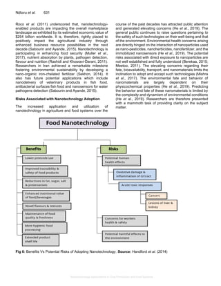 Nanotechnology Applications in Crop Production and Food Systems | PDF