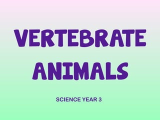 VERTEBRATE
ANIMALS
SCIENCE YEAR 3
 