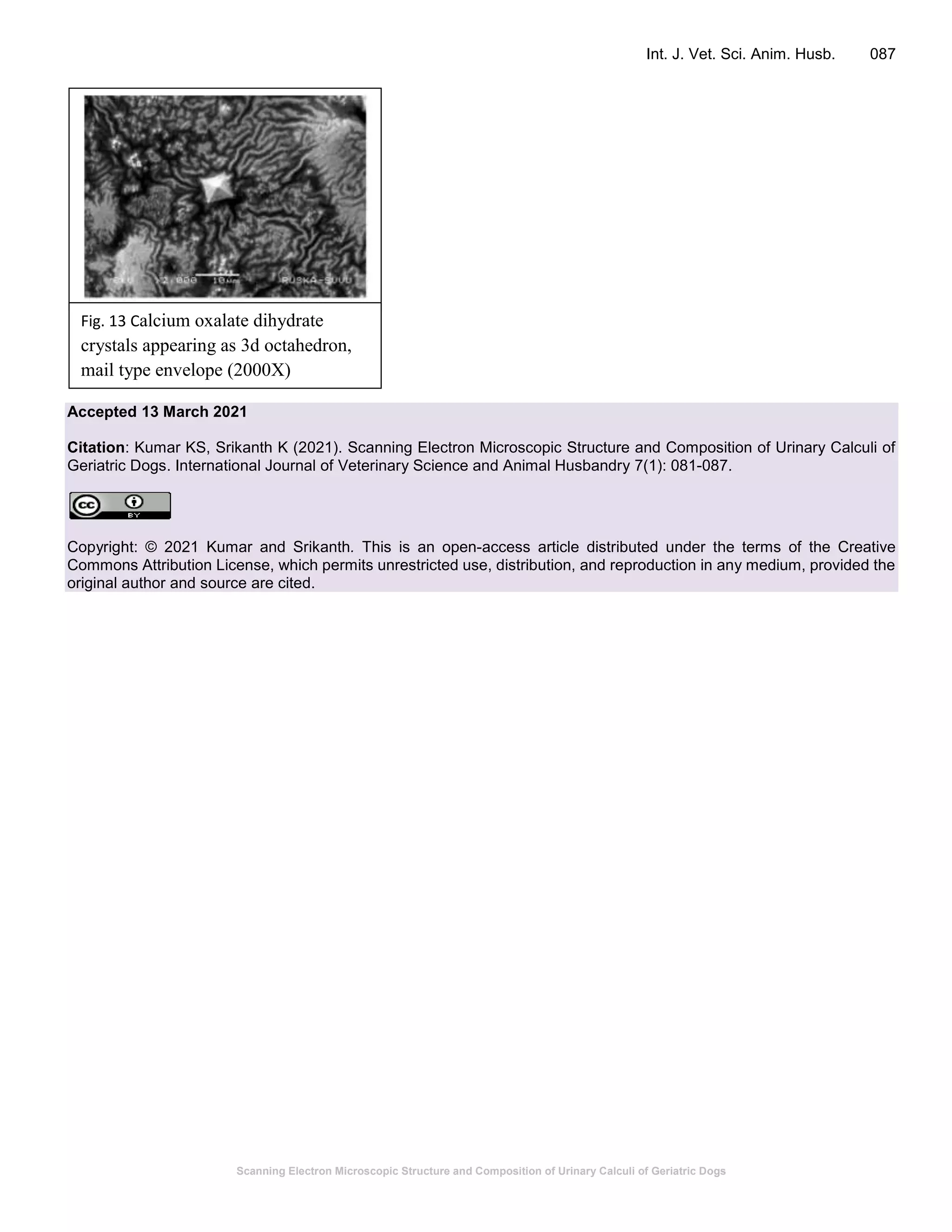 Scanning Electron Microscopic Structure and Composition of Urinary Calculi of Geriatric Dogs
Int. J. Vet. Sci. Anim. Husb. 087
Accepted 13 March 2021
Citation: Kumar KS, Srikanth K (2021). Scanning Electron Microscopic Structure and Composition of Urinary Calculi of
Geriatric Dogs. International Journal of Veterinary Science and Animal Husbandry 7(1): 081-087.
Copyright: © 2021 Kumar and Srikanth. This is an open-access article distributed under the terms of the Creative
Commons Attribution License, which permits unrestricted use, distribution, and reproduction in any medium, provided the
original author and source are cited.
Fig. 13 Calcium oxalate dihydrate
crystals appearing as 3d octahedron,
mail type envelope (2000X)
 