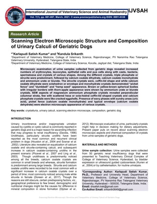 Scanning Electron Microscopic Structure and Composition of Urinary Calculi of Geriatric Dogs
IJVSAH
Scanning Electron Microscopic Structure and Composition
of Urinary Calculi of Geriatric Dogs
*1Karlapudi Satish Kumar* and 2Kandula Srikanth
1Department of Veterinary Medicine, College of Veterinary Science, Rajendranagar, PV Narsimha Rao Telangana
Veterinary University, Hyderabad, Telangana State, India
2Department of Veterinary Medicine, College of Veterinary Science, Korutla, Jagityal dist, Telangana State, India
Microscopic examination of urine samples collected from geriatric dogs revealed increased
numbers of erythrocytes, leucocytes, epithelial cells and pus cells along with casts, bacteria,
spermatozoa and crystals of various shapes. Among the different crystals, triple phosphate or
struvite were predominant, followed by calcium oxalate dihydrate, calcium oxalate monohydrate
and ammonium urate or biurate. The struvite crystals were, coffin-lid shape and while calcium
oxalate dihydrate were octahedron or envelope and monohydrate crystals demonstrated “picket
fence” and “dumbbell” and “hemp seed” appearance. Brown or yellow-brown spherical bodies
with irregular borders with thorn-apple appearance were shown by ammonium urate or biurate
crystals. SEM aspects of magnesium ammonium phosphate crystals revealed perpendicular
columnar strata, few with scattered hexa or octa-hedral coffin-lid shaped crystals and calcium
phosphate crystals were like cracked eggshells. Presence of wavy phases with sundry areas (uric
acid), picket fence (calcium oxalate monohydrate) and typical envelope (calcium oxalate
dehydrate) were electron microscopic appearance of various crystals.
Key words: crystalluria, urinary calculi, scanning electron microscope, composition, geriatric dog
INTRODUCTION
Urinary incontinence and/or inappropriate urination
caused by cystitis or cystic calculi is commonly reported in
geriatric dogs and is a major reason for ascending infection
that may progress to renal insufficiency (Davies, 1996)
Urolithiasis, particularly struvite uroliths have been
reported as the most common and recurrent clinical
problem in dogs (Houston et al., 2004 and Sosnar et al.
,2002). Literature also revealed an equalization of calcium
oxalate and struvite-containing calculi, and subsequent
increase in calcium oxalate-containing uroliths in the
present scenario (Picavet et al., 2007 and Ling et al.,
2003). Though urolithiasis is predominantly noticed
among all the breeds, calcium oxalate crystals are
common in small breeds and whereas, struvite formation
is predominant among large breeds. Struvite and calcium
oxalate uroliths were recorded to be most common with a
significant increase in calcium oxalate crystals over a
period of time; most commonly noticed among male while
struvite in female (Doreen et al., 2017). Though the
reasons are still obscure, certain predisposing factors, viz.,
geographical preference to few breed, demographic and
nutritional changes might be the causes for difference in
mineral composition in stone formation (Dijcker et al.,
2012). Microscopic evaluation of urine, particularly crystals
might help in decision making for dietary adjustments.
Present paper puts on record about scanning electron
microscopic aspects and chemical composition of crystals
from urine samples of geriatric dogs.
MATERIALS AND METHODS
Urine sample collection: Urine samples were collected
from 50 geriatric renal insufficiency dogs that were
presented to Teaching Veterinary Clinical Complex of
College of Veterinary Science, Hyderabad, by bladder
expression or ultrasound guided cystocentesis (Kurien et
al., 2004) or by catheterisation, for routine urinalysis.
*Corresponding Author: Karlapudi Satish Kumar,
Ph.D., Professor and University Head, Department of
Veterinary Medicine, College of Veterinary Science,
Rajendranagar, PV Narsimha Rao Telangana Veterinary
University, Hyderabad – 500030, Telangana State, India.
Email: drsatish.ksk@gmail.com
Co-Author Email: srikanth0649@gmail.com
Research Article
Vol. 7(1), pp. 081-087, March, 2021. © www.premierpublishers.org ISSN: 8991-0338
International Journal of Veterinary Science and Animal Husbandry
 