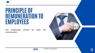 Principles of organization.pdf