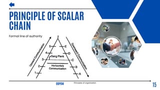 Principles of organization.pdf