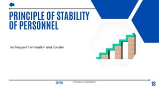 Principles of organization.pdf