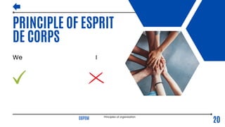 Principles of organization.pdf