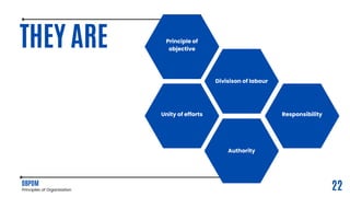 Principles of organization.pdf