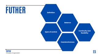 Principles of organization.pdf