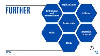 Principles of organization.pdf