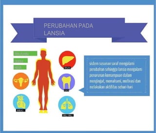 PERUBAHAN PADA
LANSIA
P
E
N
U
R
U
N
A
N
S
I
S
T
E
M
K
E
R
J
A GINJAL
GIGI
J
A
N
T
U
N
G
P
A
R
U P
A
R
U
 