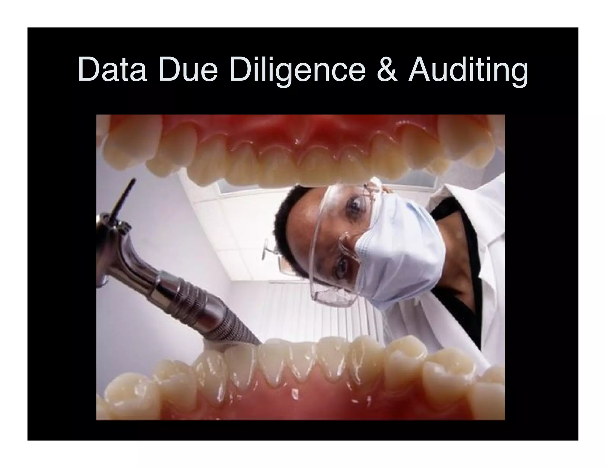 Data Due Diligence & Auditing
 