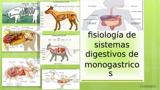 Anatomía y
Anatomía y
fsiología de
fsiología de
sistemas
sistemas
digestivos de
digestivos de
monogastrico
monogastrico
s
s
17/04/2015
17/04/2015
 