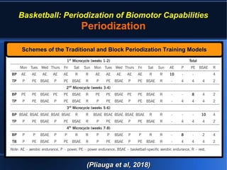 Basketball: Periodization of Biomotor Capabilities | PDF