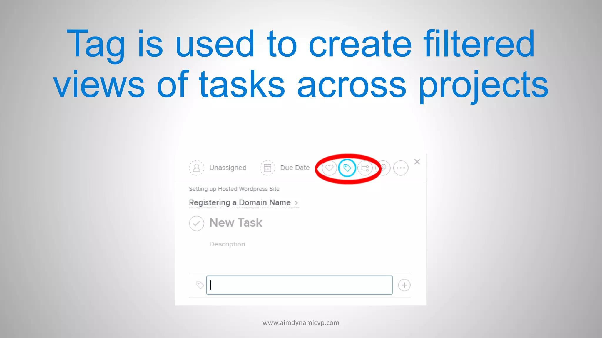 Tag is used to create filtered
views of tasks across projects
www.aimdynamicvp.com
 
