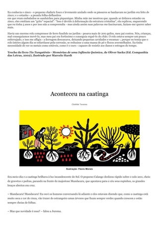 Eu conhecia o zinco - o pequeno chafariz fosco e levemente azulado onde os pássaros se banhavam no jardim era feito de
zinco; e o estanho - a pesada folha-deflandres
em que eram embalados os sanduíches para piquenique. Minha mãe me mostrou que, quando se dobrava estanho ou
zinco, eles emitiam um "grito‖ espacial". "Isso é devido à deformação da estrutura cristalina", ela explicou, esquecendo
que eu tinha 5 anos e por isso não a compreendia - mas ainda assim suas palavras me fascinavam, faziam-me querer saber
mais.

Havia um enorme rolo compressor de ferro fundido no jardim - pesava mais de 200 quilos, meu pai contou. Nós, crianças,
mal conseguíamos movê-lo, mas meu pai era fortíssimo e conseguia erguê-lo do chão. O rolo estava sempre um pouco
enferrujado, e isso me afligia - a ferrugem descascava, deixando pequenas cavidades e escamas -, porque eu temia que o
rolo inteiro algum dia se esfarelasse pela corrosão, se reduzisse a uma massa de pó e flocos avermelhados. Eu tinha
necessidade de ver os metais como estáveis, como é o ouro - capazes de resistir aos danos e estragos do tempo.

Trecho do livro Tio Tungstênio - Memórias de uma Infância Química, de Oliver Sacks (Ed. Companhia
das Letras, 2002), ilustrado por Marcelo Hardt




                                    Aconteceu na caatinga
                                                      Clotilde Tavares




                                                 Ilustração: Flavio Morais


Era meio-dia e a caatinga brilhava à luz incandescente do Sol. O pequeno Calango deslizou rápido sobre o solo seco, cheio
de gravetos e pedras, parando na frente do majestoso Mandacaru, que apontava para o céu seus espinhos, os grandes
braços abertos em cruz.


– Mandacaru! Mandacaru! Eu ouvi os homens conversando lá adiante e eles estavam dizendo que, como a caatinga está
muito seca e cor de cinza, vão trazer do estrangeiro umas árvores que ficam sempre verdes quando crescem e estão
sempre cheias de folhas.


– Mas que novidade é essa? – falou a Jurema.
 