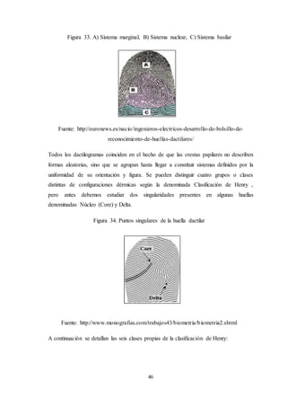 46
Figura 33. A) Sistema marginal, B) Sistema nuclear, C) Sistema basilar
Fuente: http://euronews.es/nacio/ingenieros-electricos-desarrollo-de-bolsillo-de-
reconocimiento-de-huellas-dactilares/
Todos los dactilogramas coinciden en el hecho de que las crestas papilares no describen
formas aleatorias, sino que se agrupan hasta llegar a constituir sistemas definidos por la
uniformidad de su orientación y figura. Se pueden distinguir cuatro grupos o clases
distintas de configuraciones dérmicas según la denominada Clasificación de Henry ,
pero antes debemos estudiar dos singularidades presentes en algunas huellas
denominadas Núcleo (Core) y Delta.
Figura 34. Puntos singulares de la huella dactilar
Fuente: http://www.monografias.com/trabajos43/biometria/biometria2.shtml
A continuación se detallan las seis clases propias de la clasificación de Henry:
 