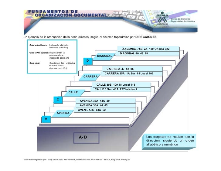 organización documental