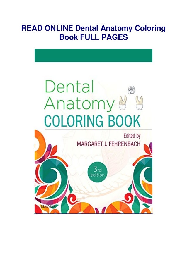 ( PDF ) Dental Anatomy Coloring Book