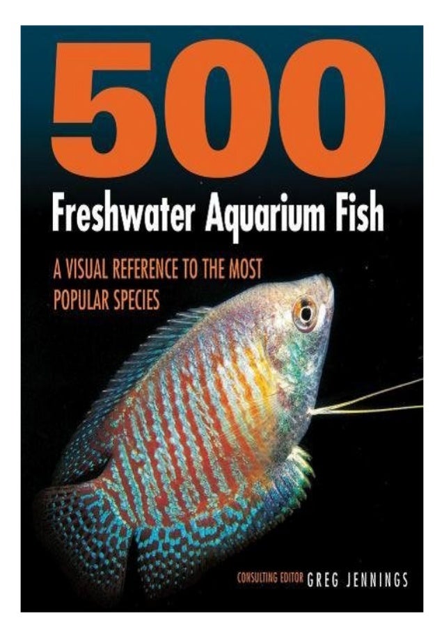 The rainbow fish pdf free download The rainbow fish pdf free download