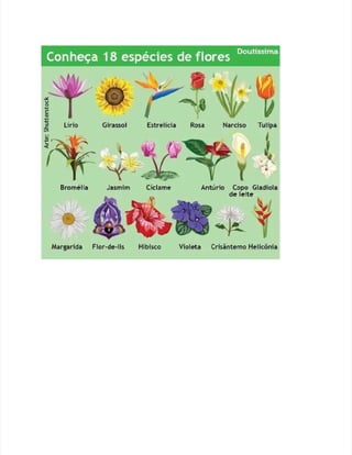 Pdf especialidade-flores compress