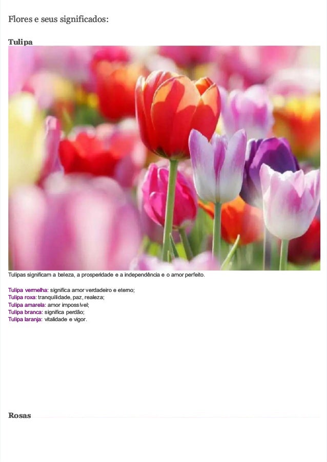  
 
Flores e seus significados:
Flores e seus significados:
Tulipa
Tulipa 
 
Tulipas significam a beleza, a prosperidade e a independência e o amor perfeito.
Tulipas significam a beleza, a prosperidade e a independência e o amor perfeito.
Tulipa vermelha:
Tulipa vermelha: significa amor verdadeiro e eterno;
 significa amor verdadeiro e eterno;
Tulipa roxa:
Tulipa roxa: tranquilidade, paz, realeza;
 tranquilidade, paz, realeza;
Tulipa amarela:
Tulipa amarela: amor impossível;
 amor impossível;
Tulipa branca:
Tulipa branca: significa perdão;
 significa perdão;
Tulipa laranja:
Tulipa laranja: vitalidade e vigor.
 vitalidade e vigor.
Rosas
Rosas 
 
 