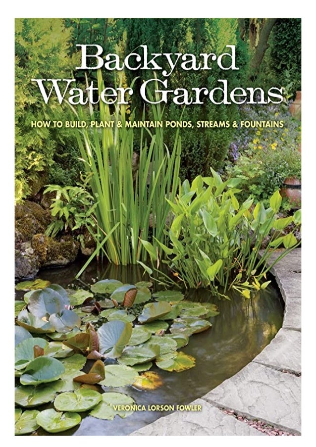 The Lily Pond PDF Free Download The Lily Pond PDF Free Download