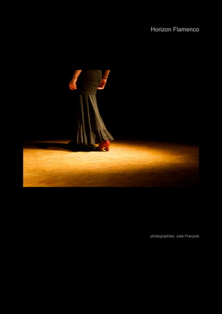 spectacle_06_2009_26.jpg 
Horizon Flamenco 
photographies: Julie François 
 